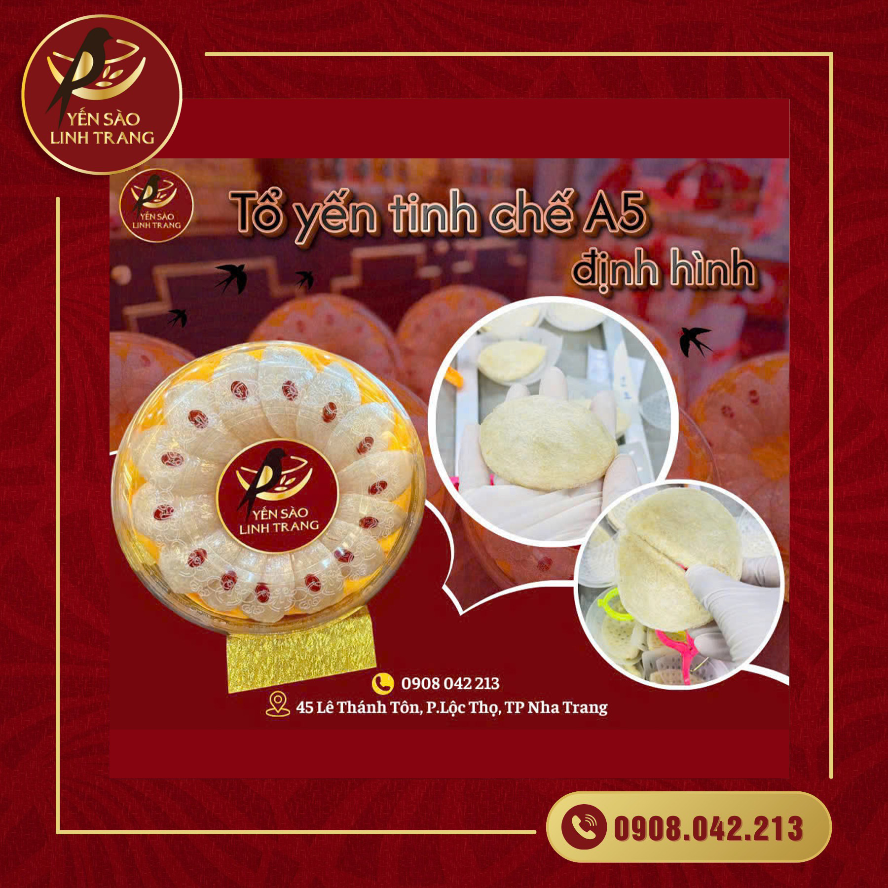 Yến tinh chế A5 định hình