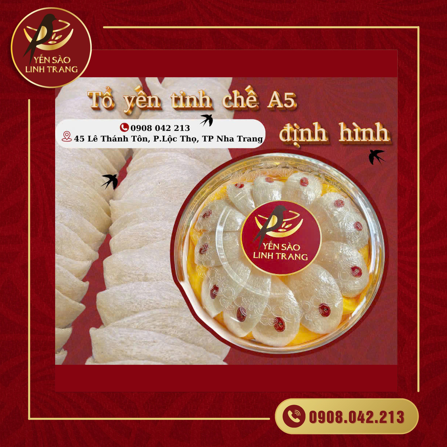 Yến tinh chế A5 định hình